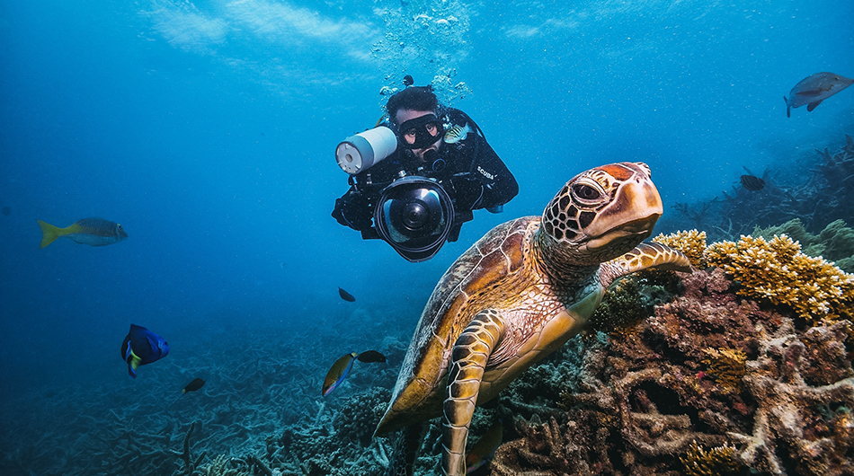 Brightsun’s Guide to the World's Best Diving Destinations